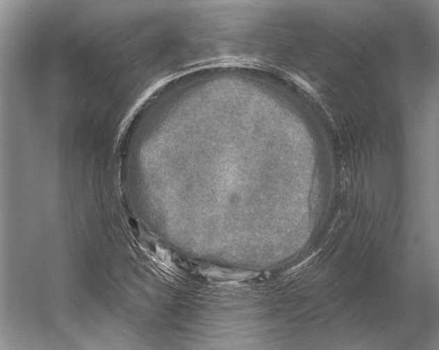 X0000053121310200508081241