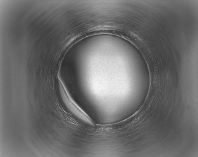 X0000053121313200508081241