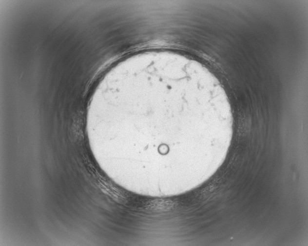 X0000053121314200508081241