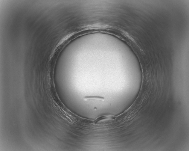 X0000053121315200508081241