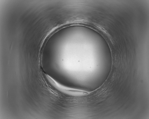 X0000053121316200508081241