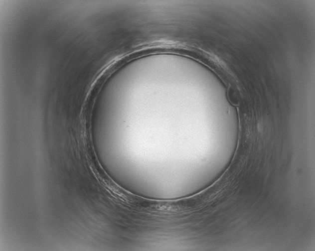 X0000053121318200508081241