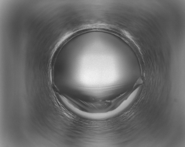 X0000053121320200508081241