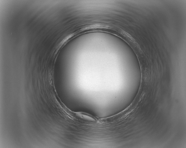 X0000053121321200508081241