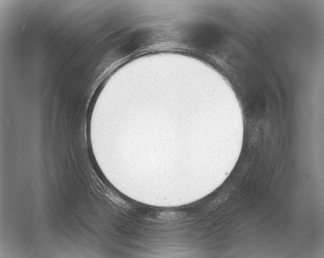 X0000053121322200508081241