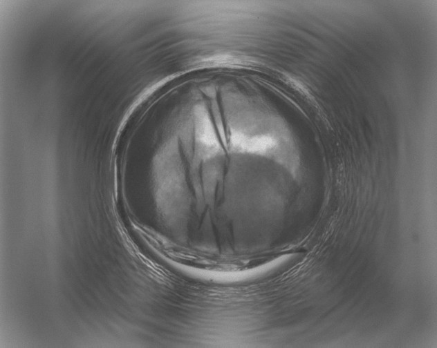 X0000053121323200508081241