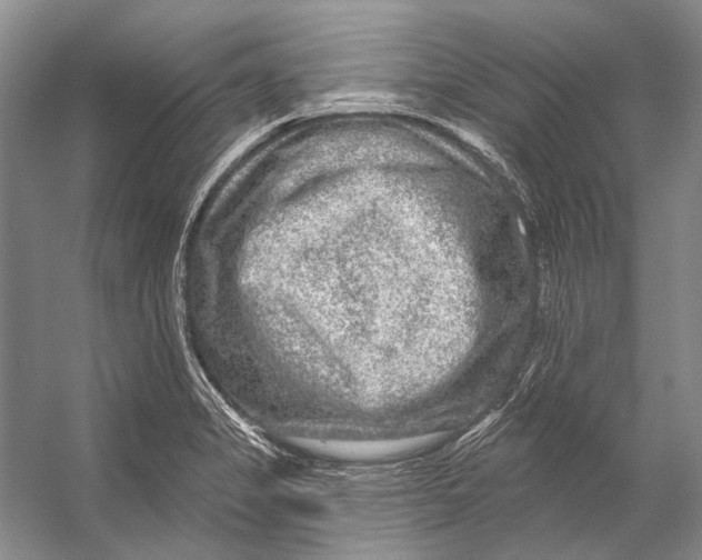 X0000053121325200508081241