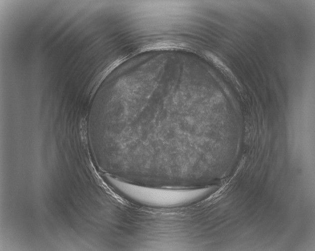 X0000053121329200508081241