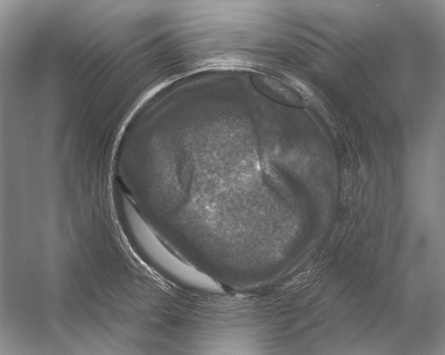 X0000053121331200508081241