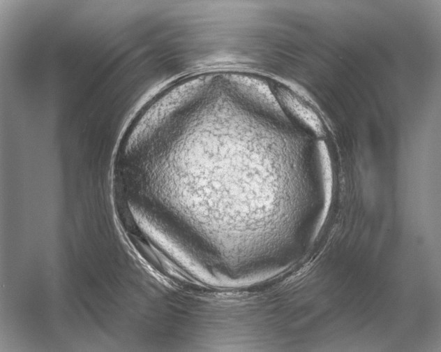 X0000053121333200508081241