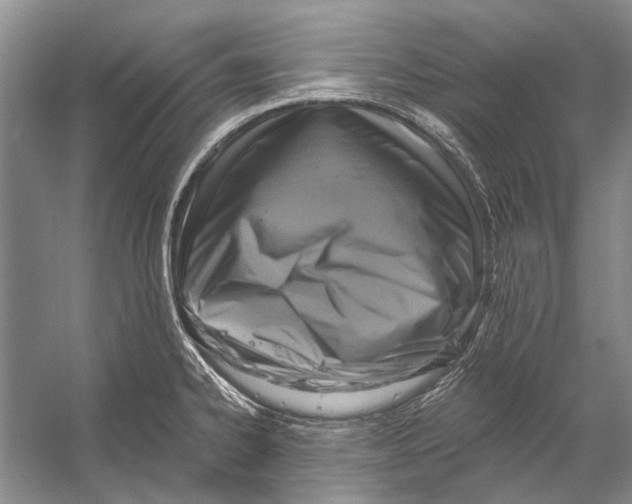 X0000053121334200508081241