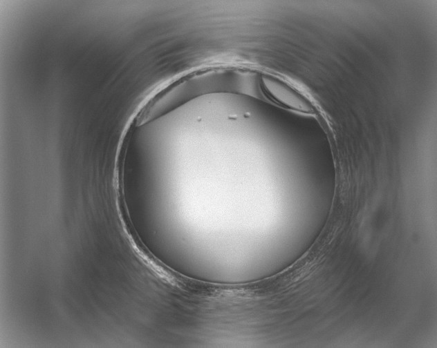 X0000053121335200508081241