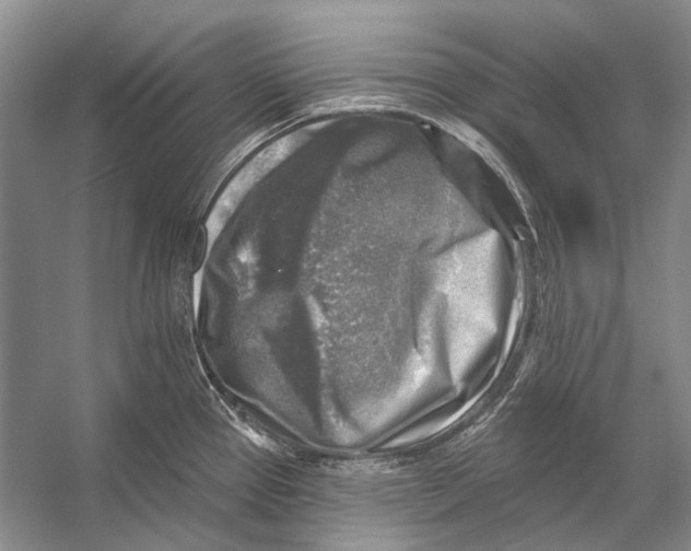 X0000053121337200508081242