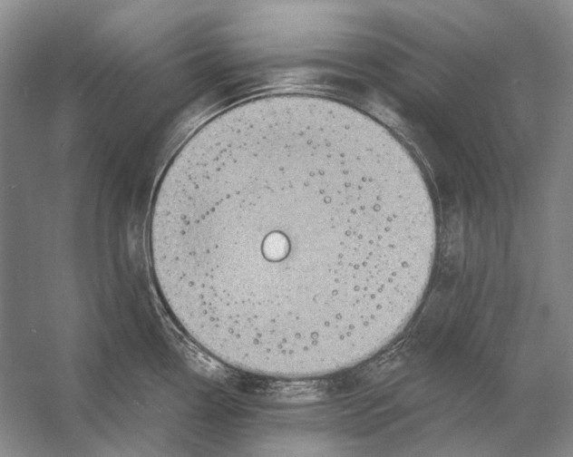 X0000053121338200508081242