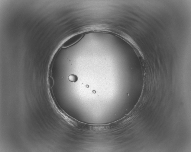 X0000053121339200508081242