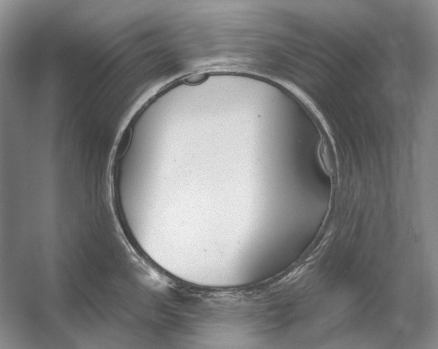 X0000053121341200508081242