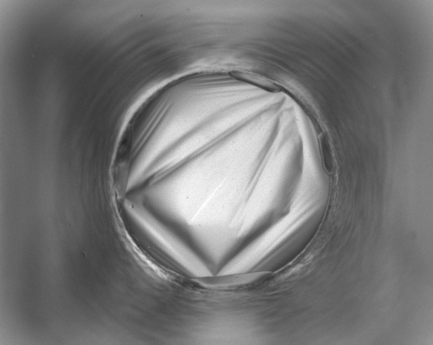 X0000053121344200508081242