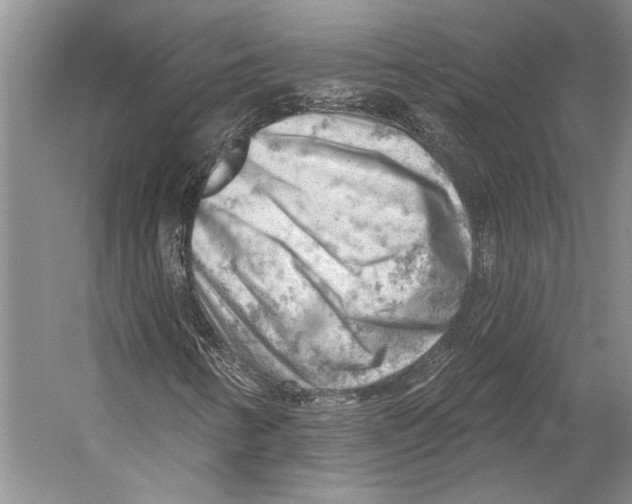 X0000053121346200508081241