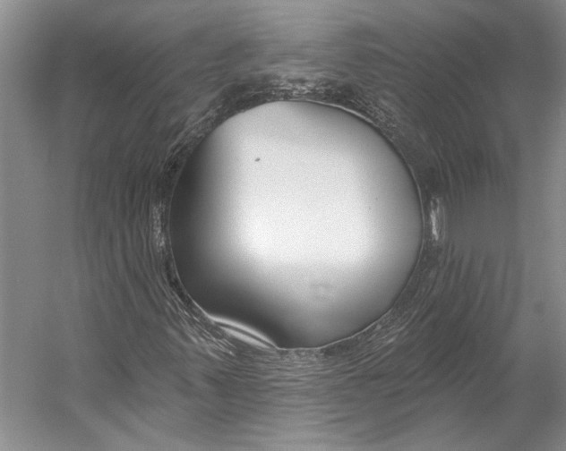 X0000053121347200508081241