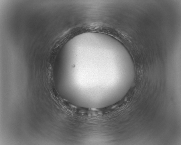 X0000053121349200508081241