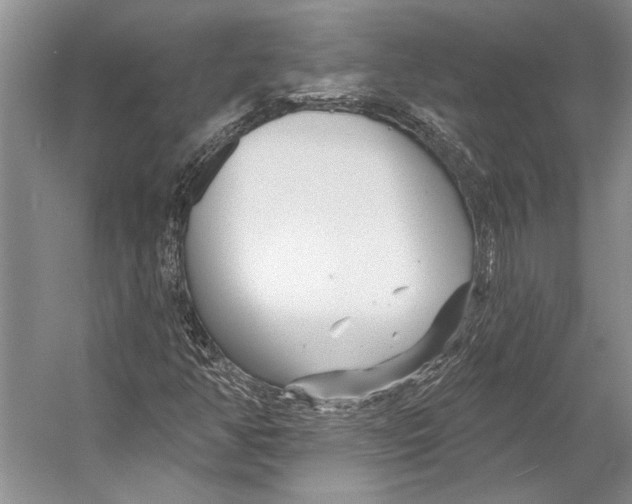 X0000053121350200508081241