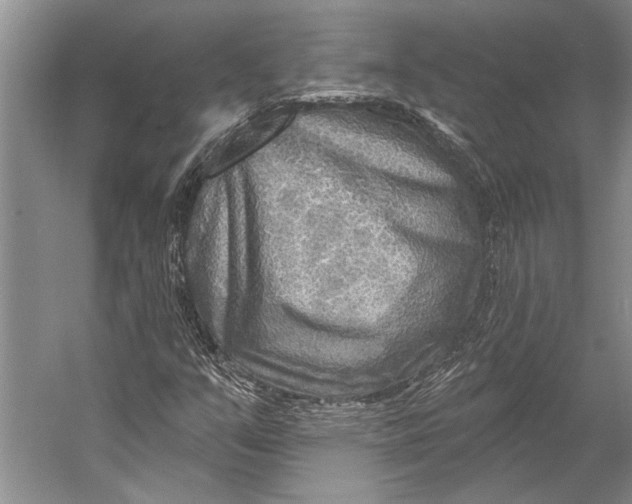 X0000053121351200508081241