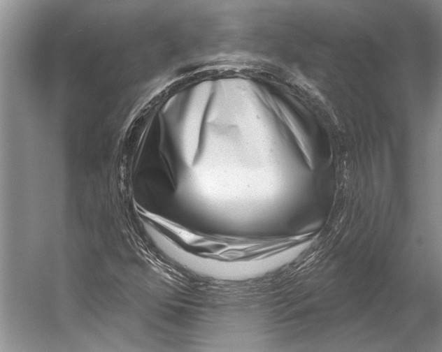 X0000053121352200508081241