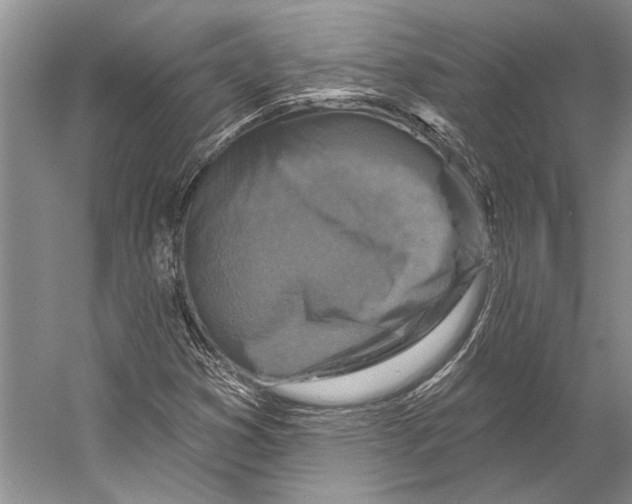 X0000053121353200508081241