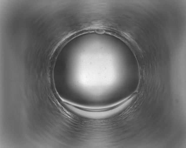 X0000053121356200508081241