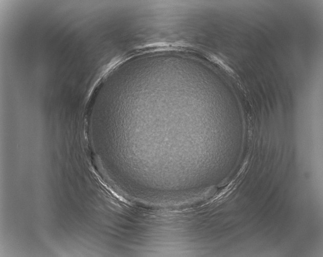 X0000053121357200508081241