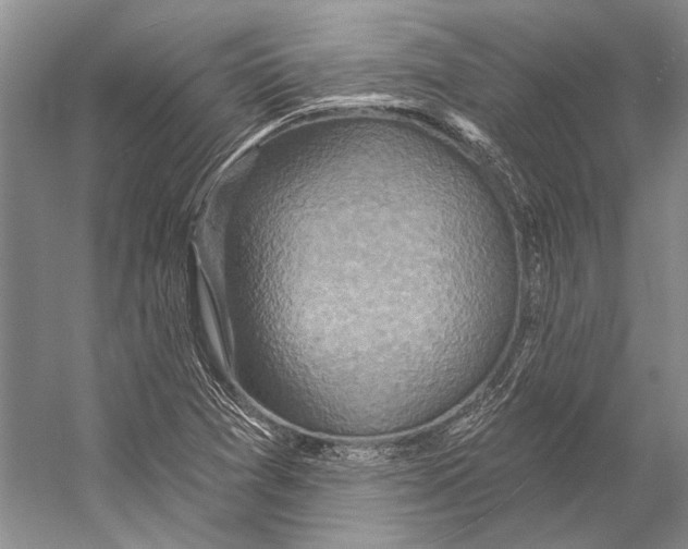 X0000053121361200508081241