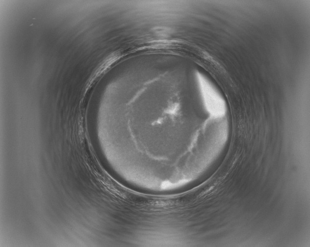 X0000053121362200508081241