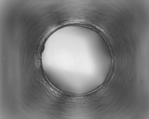 X0000053121363200508081241