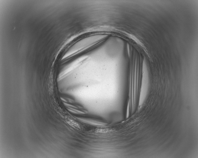 X0000053121364200508081240