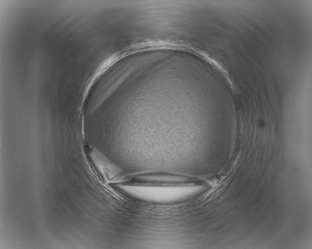 X0000053121365200508081240