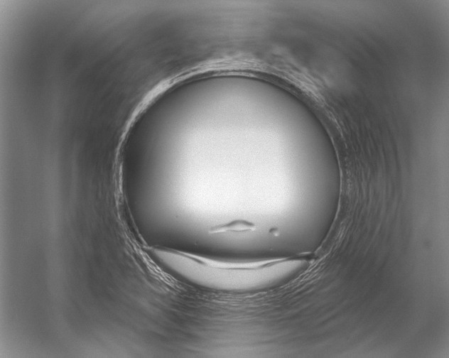 X0000053121366200508081240