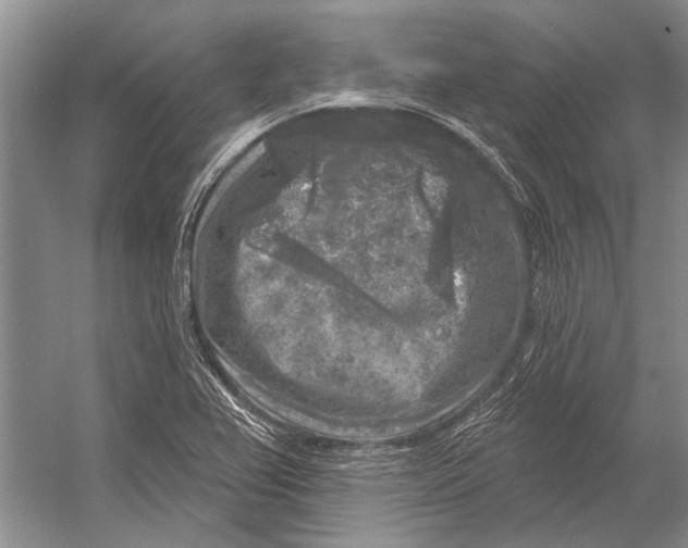 X0000053121367200508081240