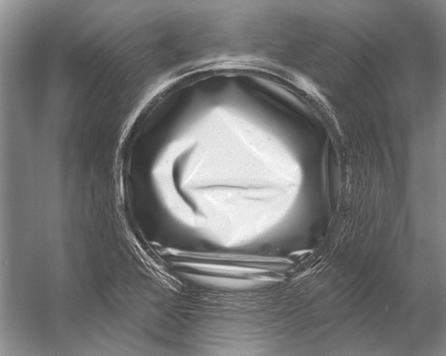 X0000053121368200508081240