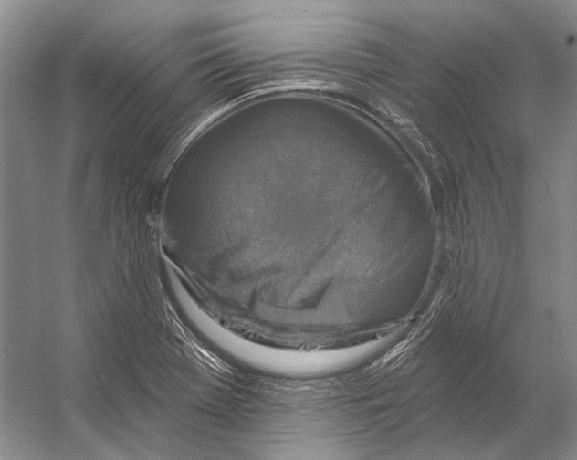 X0000053121369200508081240