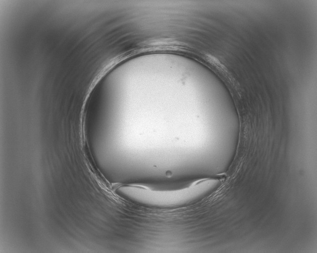 X0000053121370200508081240