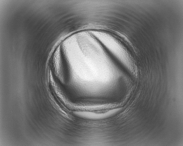 X0000053121371200508081240