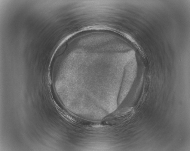 X0000053121372200508081240