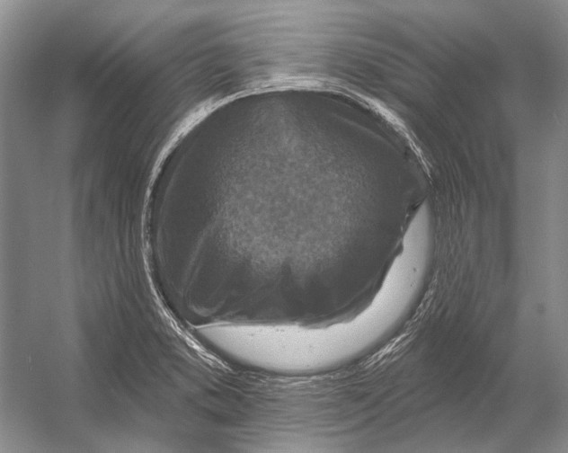 X0000053121373200508081240