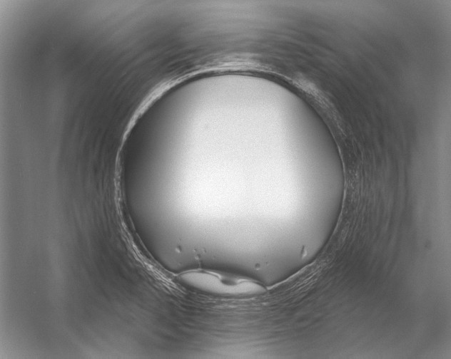 X0000053121374200508081240