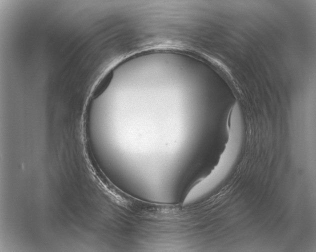 X0000053121375200508081240