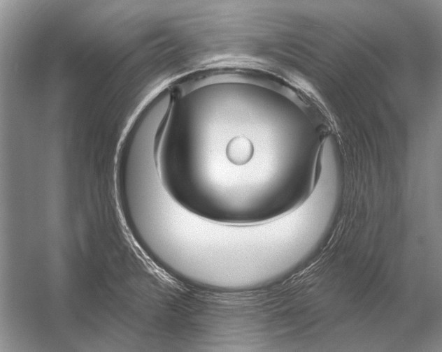 X0000053121376200508081240