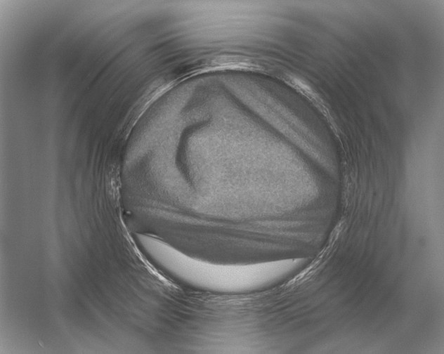 X0000053121377200508081240