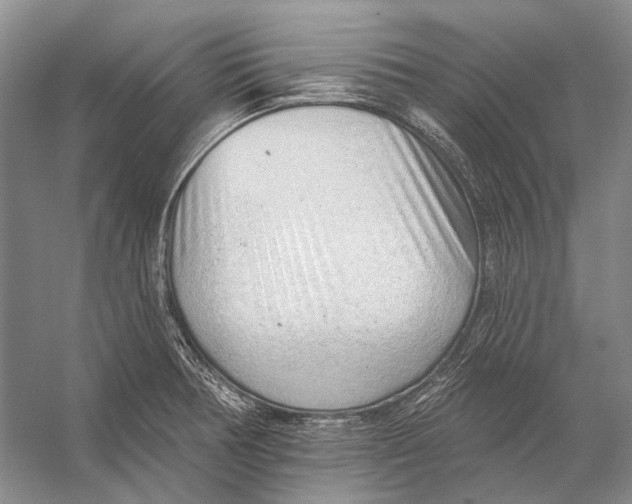 X0000053121378200508081240