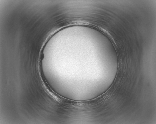 X0000053121379200508081240