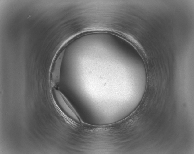 X0000053121380200508081240